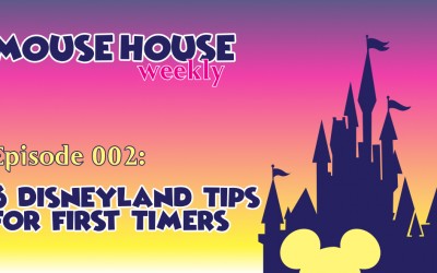 6 Disneyland Tips for First Timers