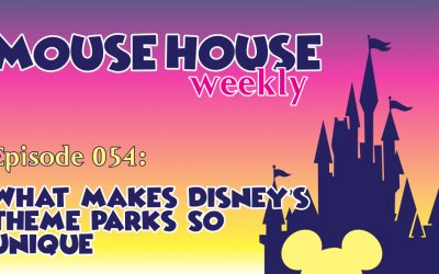 What Makes Disney’s Theme Parks So Unique?