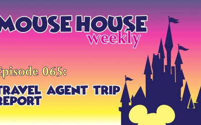 Travel Agent Trip Report