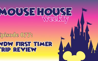 WDW First Timer Trip Review