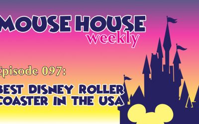 Best Disney Roller Coaster in the USA
