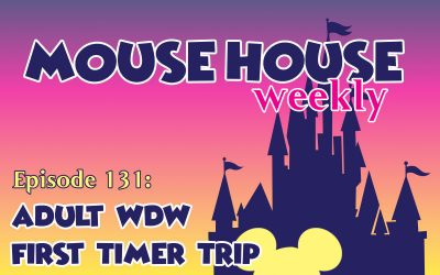 Adult WDW First Timer Trip