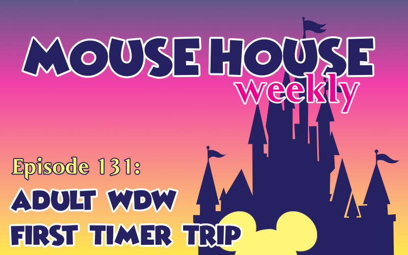 Adult WDW First Timer Trip