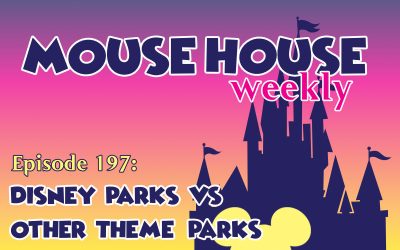 Disney Parks vs Other Theme Parks