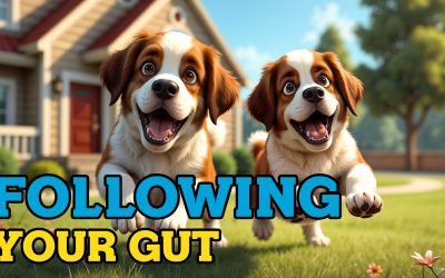 617- Following Your Gut