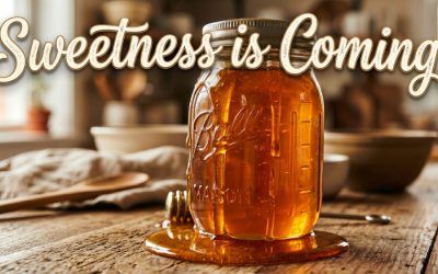 SILY 695- Sweetness is Coming