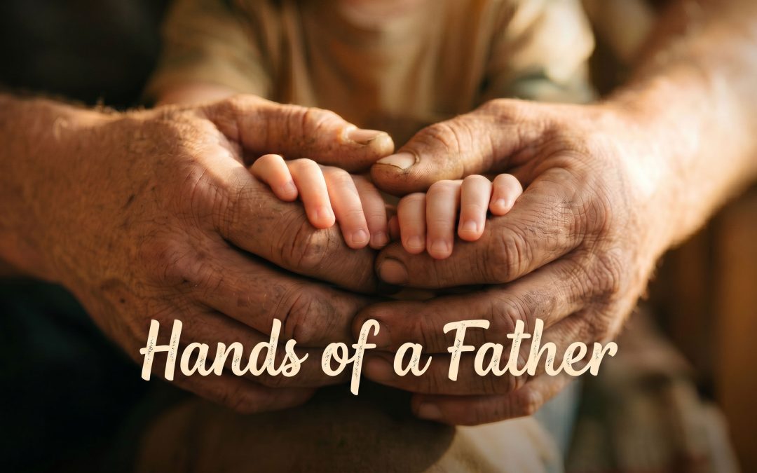SILY 701- Hands of a Father
