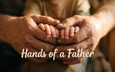 SILY 701- Hands of a Father